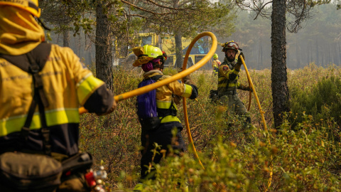 Bomberos trabajan en el lugar durante el incendio forestal de La Mierla en Albendiego, Guadalajara, España, el 21 de julio de 2026.