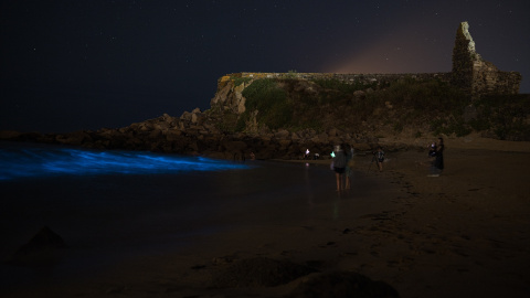 mar-de-ardora El Mar de Ardora es un fenómeno natural en el que el agua del mar brilla con un tono azulado en la oscuridad de la noche.