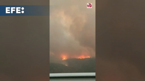 Castilla y León amanece con 9 fuegos activos y más de 1.500 evacuados entre Ávila y León Castilla y León amanece con 9 fuegos activos y más de 1.500 evacuados entre Ávila y León