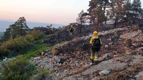 Page sobre el incendio de la Sierra Norte de Guadalajara: "Hemos sacrificado hectáreas para salvar pueblos" Page sobre el incendio de la Sierra Norte de Guadalajara: "Hemos sacrificado hectáreas para salvar pueblos"