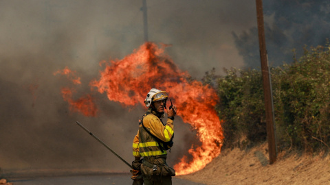 Un bombero trabaja para combatir un incendio forestal que afecta a Castilla y León, en la localidad de El Tiemblo, España, el 24 de julio de 2026. Un bombero trabaja para combatir un incendio forestal que afecta a Castilla y León, en la localidad de El Tiemblo, España, el 24 de julio de 2026.