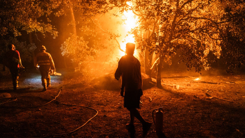 Varias personas trabajando en la extinción del fuego en La Adrada (Ávila).