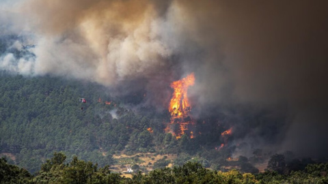 Cantabria se vuelca contra el incendio de Ávila: este es el despliegue de medios enviado para combatir las llamas