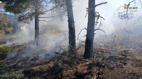 El Gobierno declara zona catastrófica 23 incendios en Castilla-La Mancha, incluidos La Mierla y Almorox El Gobierno declara zona catastrófica 23 incendios en Castilla-La Mancha, incluidos La Mierla y Almorox