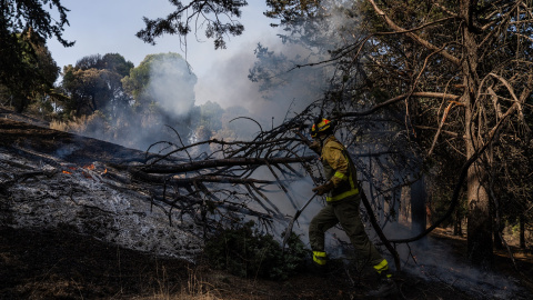 Un bombero trabaja en las tareas de extinción del incendio forestal en la Sierra Oeste de Madrid. Un bombero trabaja en las tareas de extinción del incendio forestal en la Sierra Oeste de Madrid.