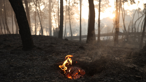 Una llama en el incendio forestal a las afueras de Casavieja. Una llama en el incendio forestal a las afueras de Casavieja.