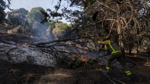 Un bombero trabaja en las tareas de extinción del incendio forestal en la Sierra Oeste de Madrid Un bombero trabaja en las tareas de extinción del incendio forestal en la Sierra Oeste de Madrid