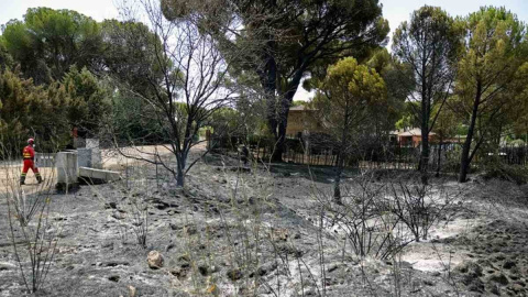 Dos detenidos por el incendio de Almorox que saltó a la Comunidad de Madrid y obligó a desalojar a cientos de vecinos Dos detenidos por el incendio de Almorox que saltó a la Comunidad de Madrid y obligó a desalojar a cientos de vecinos