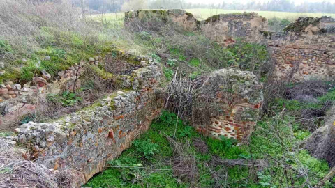 Las Tamujas, la villa romana de Toledo abocada al olvido en la que lo más valioso sigue oculto bajo tierra