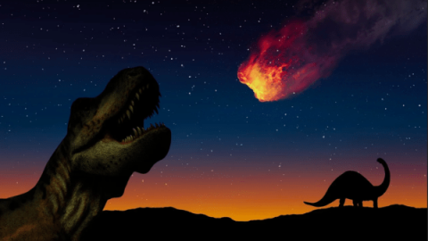 Los últimos días de los dinosaurios y cómo cambió la Tierra