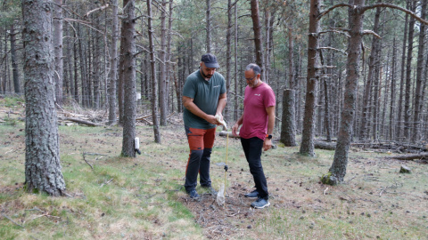 Àngel Ponce i Juan Martínez de Aragón inspeccionant una de les parcel·les que el CTFC gestiona a Meranges Àngel Ponce i Juan Martínez de Aragón inspeccionant una de les parcel·les que el CTFC gestiona a Meranges