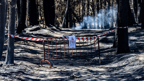 Instalaciones del camping Fuente Helecha afectadas por el incendio de Burgohondo (Ávila), a 6 de agosto de 2026. Instalaciones del camping Fuente Helecha afectadas por el incendio de Burgohondo (Ávila), a 6 de agosto de 2026.