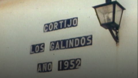 El cortijo de Los Galindos. El cortijo de Los Galindos.