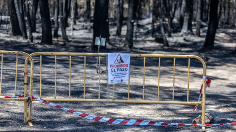 incendios-prohibido-paso MITECO ha lanzado una serie de prohibiciones ante la previsión de que numerosos ciudadanos acudan a espacios naturales.