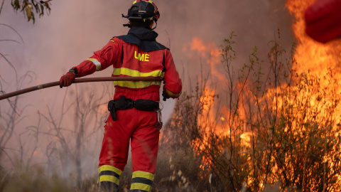 Efectivo de la UME en el incendio de Niebla (Huelva). Efectivo de la UME en el incendio de Niebla (Huelva).