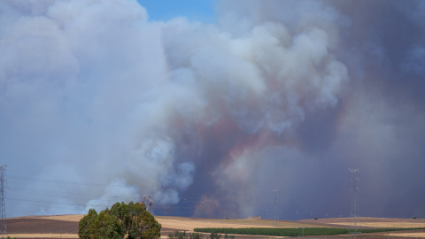 El fuego de Niebla (Huelva) este domingo 9 de agosto. El fuego de Niebla (Huelva) este domingo 9 de agosto.