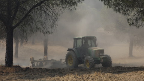 Maquinaria pesada realiza cortafuegos por el incendio de Niebla.