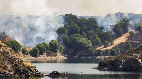 El incendio junto al embalse del Corumbel Bajo en La Palma del Condado, Huelva, a 12 de agosto de 2026.