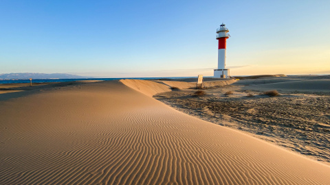 Dunes al Far del Fangar del Delta de l'Ebre Dunes al Far del Fangar del Delta de l'Ebre