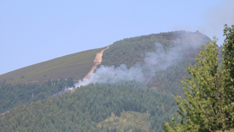 Columna de humo provocada por un incendio forestal. Columna de humo provocada por un incendio forestal.