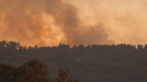 1a9d3d12db331d58263dabbe5bc35320dac1e01dw Santa Cruz de la Serós (Huesca), 15/08/2026.- El incendio declarado el viernes en Las Peñas de Riglos (Huesca) ya afecta a una superficie provisional de 16.600 hectáreas, y continúa activo en gran parte del perímetro y en la jornada de este sábado las condiciones meteorológicas no han resultado nada favorables, lo que está influyendo en la magnitud y la evolución del fuego. EFE/EFE-TV