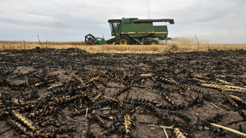 2026-07-24T065544Z_1951280655_RC2KJMA6PY2A_RTRMADP_3_UKRAINE-CRISIS-GRAINS Agriculture employees operate a combine during harvesting wheat in a field which was partially burned after Russian drone strike, amid Russia's attack on Ukraine, in Zaporizhzhia region, Ukraine July 23, 2026. REUTERS/Stringer