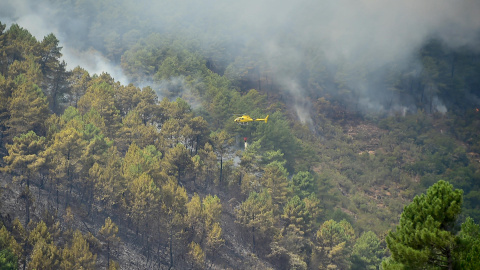 Los medios de extinción trabajan en la alquería del Cerezal afectada por el incendio de Las Hurdes. Los medios de extinción trabajan en la alquería del Cerezal afectada por el incendio de Las Hurdes.