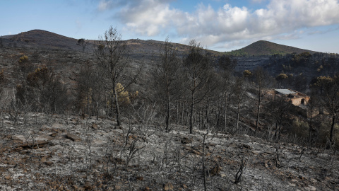 El incendio de Segorbe, este sábado. El incendio de Segorbe, este sábado.