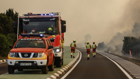 Bomberos durante la extinción del incendio forestal en la Gola de Pujol, El Saler, València. Bomberos durante la extinción del incendio forestal en la Gola de Pujol, El Saler, València.