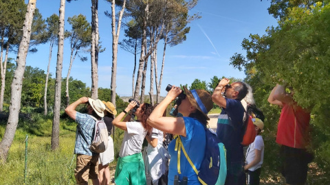 Observación de aves en Valdezarza, Chinchón