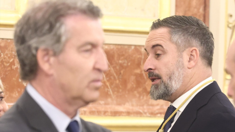 Santiago Abascal y Alberto Núñez Feijóo, durante la visita del Papa León XIV al Congreso, en junio de 2026.
