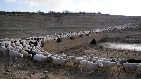 (Foto de ARCHIVO)Los restos del antiguo pueblo de Peñarubia han quedado al descubierto por la ausencia de agua en el embalse de Guadalteba a causa de la extrema sequía, a 3 de febrero de 2024 en Málaga, Andalucía, (España). Los pantanos Málaga bajo mínimos una vez más tras una extrema sequía que se repite otra año como las habidas en las década de los ochenta, noventa y dos mil.Álex Zea / Europa Press03/2/2024