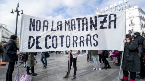 Manifestación en contra de la matanza de cotorras en Madrid. Manifestación en contra de la matanza de cotorras en Madrid.