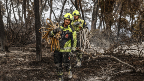 Varios bomberos realizan labores de extinción de incendios.
