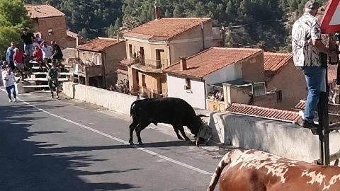 Tragedia durante un encierro en un pueblo de Albacete: muere una mujer de 64 años tras ser corneada por un toro