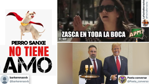 Memes y reacciones a la respuesta de Pedro Sánchez a Santiago Abascal. Memes y reacciones a la respuesta de Pedro Sánchez a Santiago Abascal.