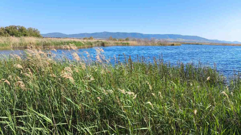 "La Mancha, al borde del suicidio hídrico": 39.000 hectáreas bajo sospecha en un Alto Guadiana sobreexplotado