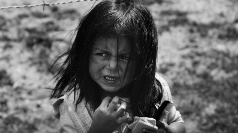 roi-dimor-320092-unsplash