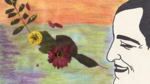 ILustracion-de-@lafemme_agitee