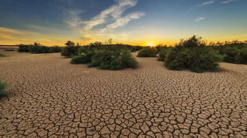 Foto Portada Transición ecológica