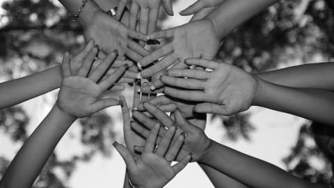 Cooperativismo