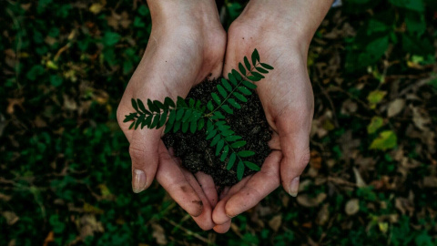 Foto de Noah Buscher en Unsplash