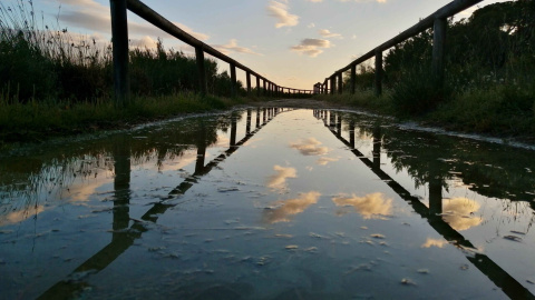 Foto de Paco Peris