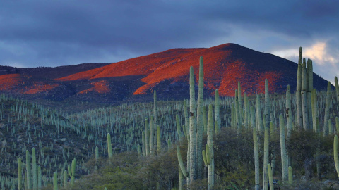 Foto de Andrés Sanz en Unsplash