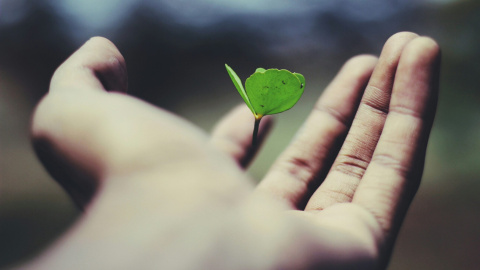 Foto de name_ gravity na Unsplash
