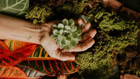 Foto de lucas mendes en Unsplash