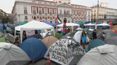 Los buitres no sólo usurpan viviendas