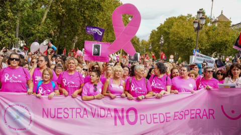 Imagen de la concentración convocada por Amama en octubre de 2025 en Sevilla. Imagen de la concentración convocada por Amama en octubre de 2025 en Sevilla.