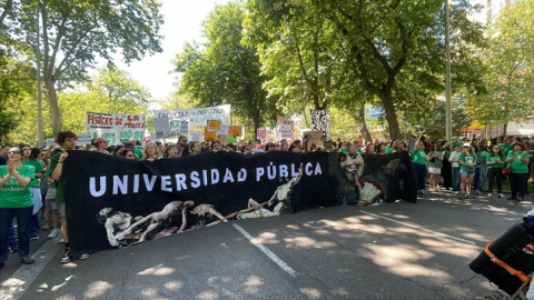 Manifestación en defensa de la universidad pública en Madrid.
