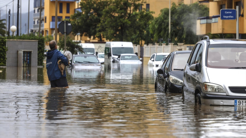 Un hombre atraviesa con un perro una zona inundada, a 19 de octubre de 2026, en Guardamar de la Safor, València. Un hombre atraviesa con un perro una zona inundada, a 19 de octubre de 2026, en Guardamar de la Safor, València.